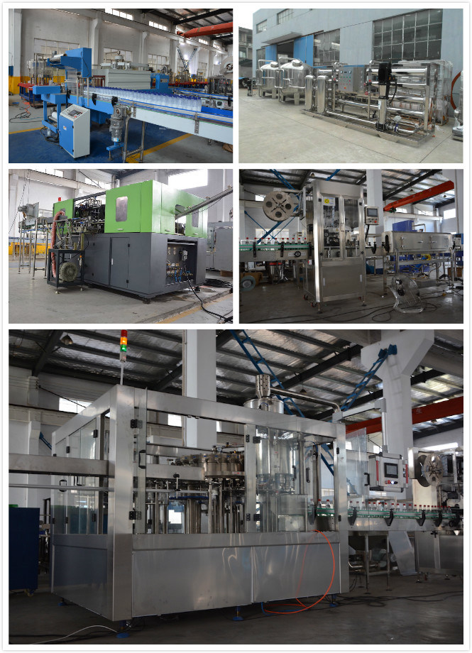 Automatic Oil Bottle Handle Applicator/ Inserting Machine/Pressing Machine